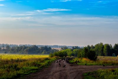 Dirt road passing through field against sky