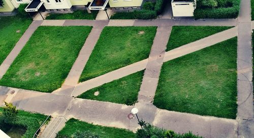 High angle view of footpaths in lawn