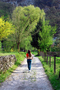 Rear view of woman walking on footpath at park