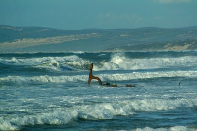 Man surfing in sea against sky