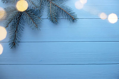 Low angle view of palm tree against blue sky