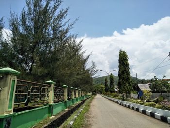 Road by trees against sky in city