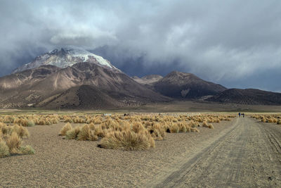 Road passing through a desert