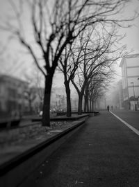 Road by trees in city