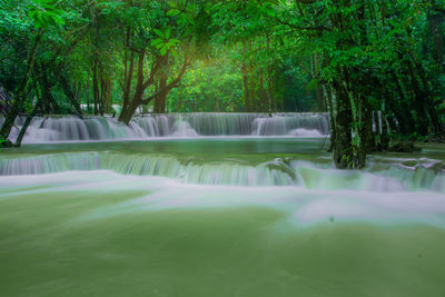 Scenic view of waterfall in forest