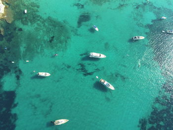 High angle view of people swimming in sea