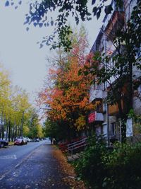 Street amidst trees in city against sky