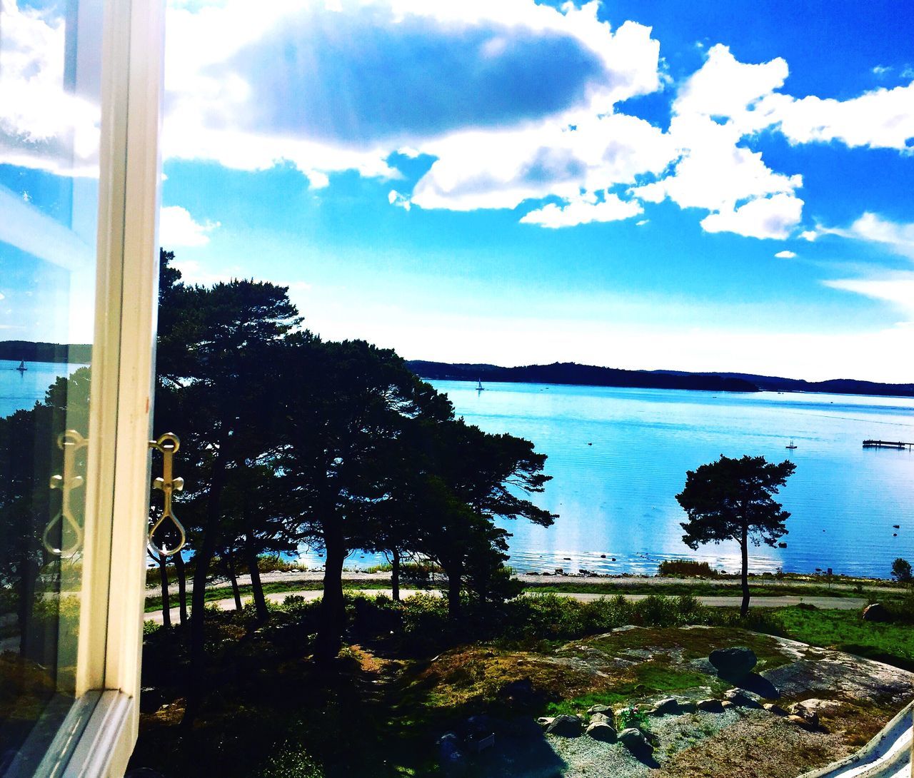 sky, water, reflection, tree, cloud - sky, nature, day, sea, no people, outdoors, beauty in nature, animal themes, close-up