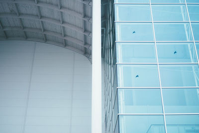 Reflection of birds on modern glass building