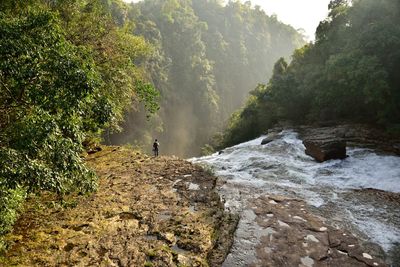 Scenic view of waterfall in forest