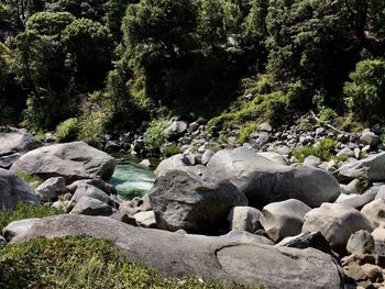 Scenic view of rocks in water