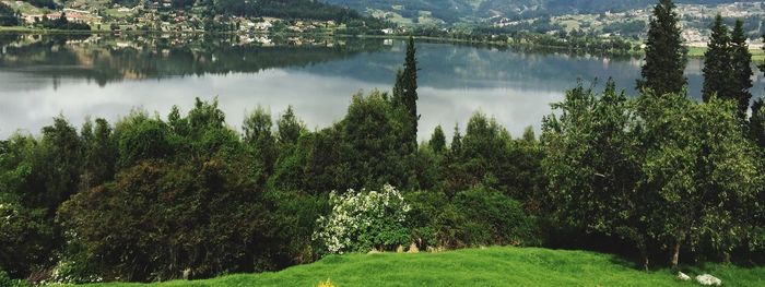 Scenic view of lake in forest against sky