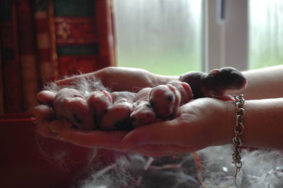 Close-up of baby hand