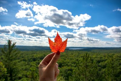 Close-up of hand holding maple leaf against sky