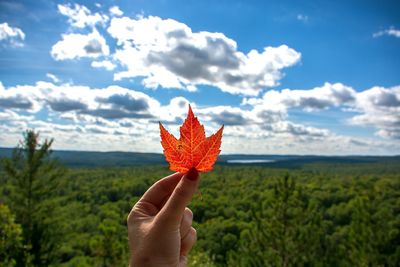 Cropped hand holding yellow leaf