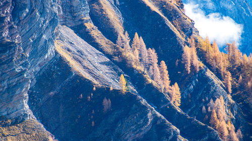 Aerial view of snowcapped mountain