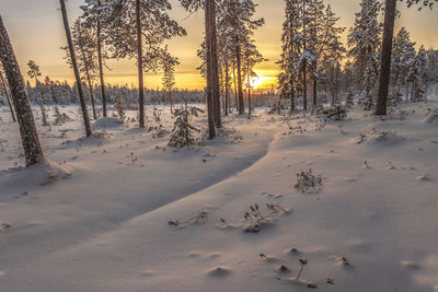 Scenic view of snow covered field during sunset