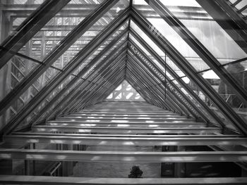 Low angle view of staircase