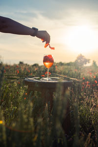 Cropped hand of woman holding wineglass