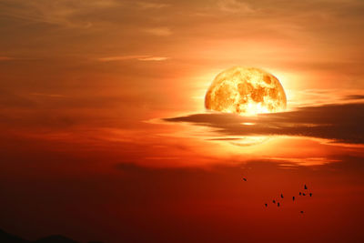 Silhouette birds flying against orange sky
