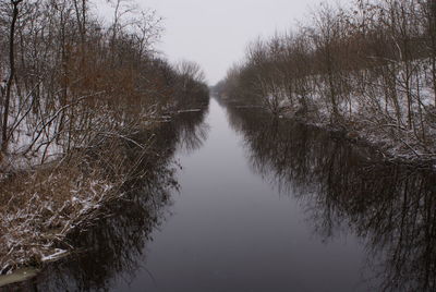 Bare trees by river against sky