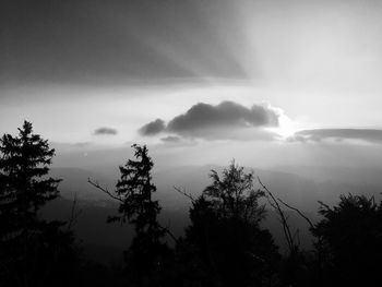 Silhouette trees against sky