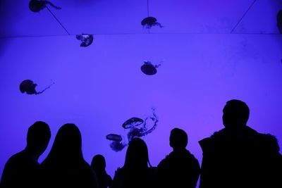 Silhouette people in aquarium