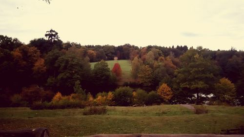 Scenic view of trees and field against sky