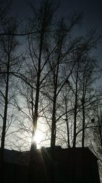 Low angle view of silhouette bare trees against bright sun