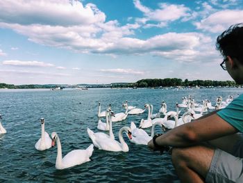 Man looking at swans swimming in lake against sky