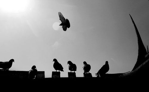 Low angle view of silhouette people flying against sky