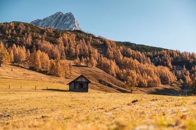 Wooden cabin in colorful autumn landscape above a sea of clouds, filzmoos, salzburg, austria.