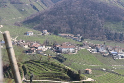 High angle view of agricultural field