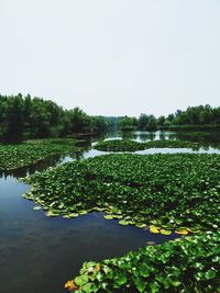 Scenic view of lake against clear sky