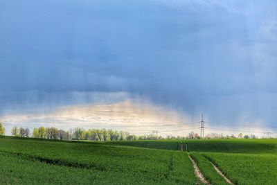 Scenic view of field against sky