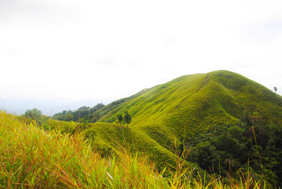 Scenic view of landscape against clear sky