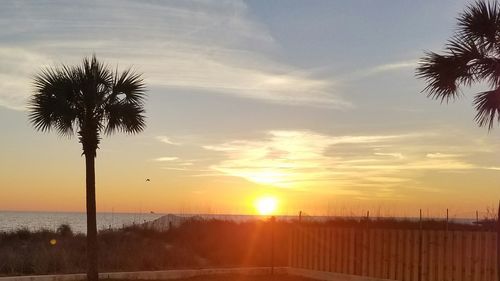 Silhouette palm trees on beach against sky during sunset