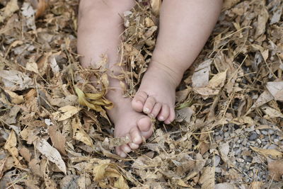 Low section of baby feet on field