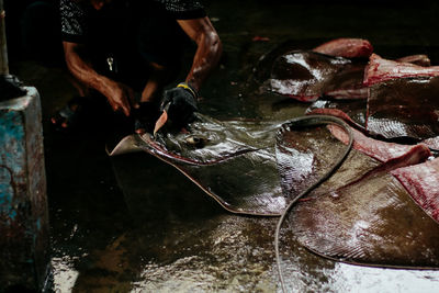 Close-up of hand cutting stingray