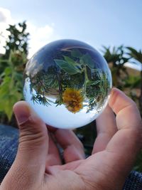 Midsection of person holding crystal ball