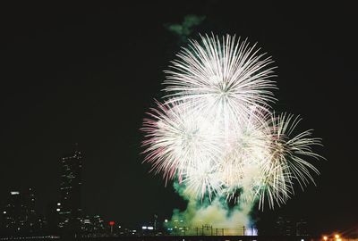 Low angle view of firework display at night