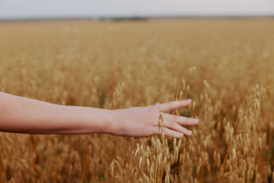 Cropped hand of woman on field