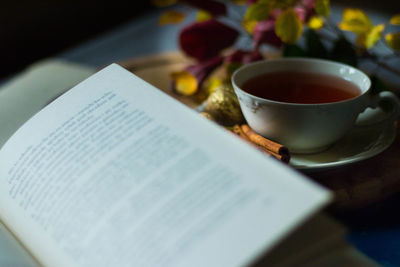 Close-up of open book and herbal tea on table