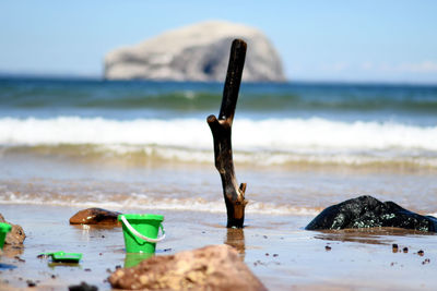 Driftwood on beach