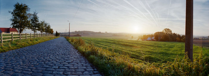 Paving sett road in warm golden autumnal sunlight with  grass field on the right side and some trees