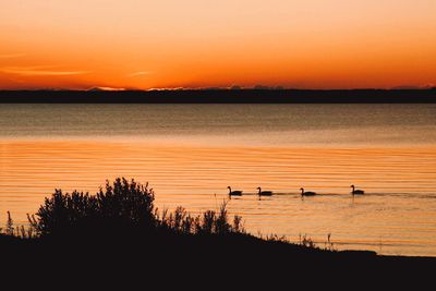 Scenic view of lake against orange sky