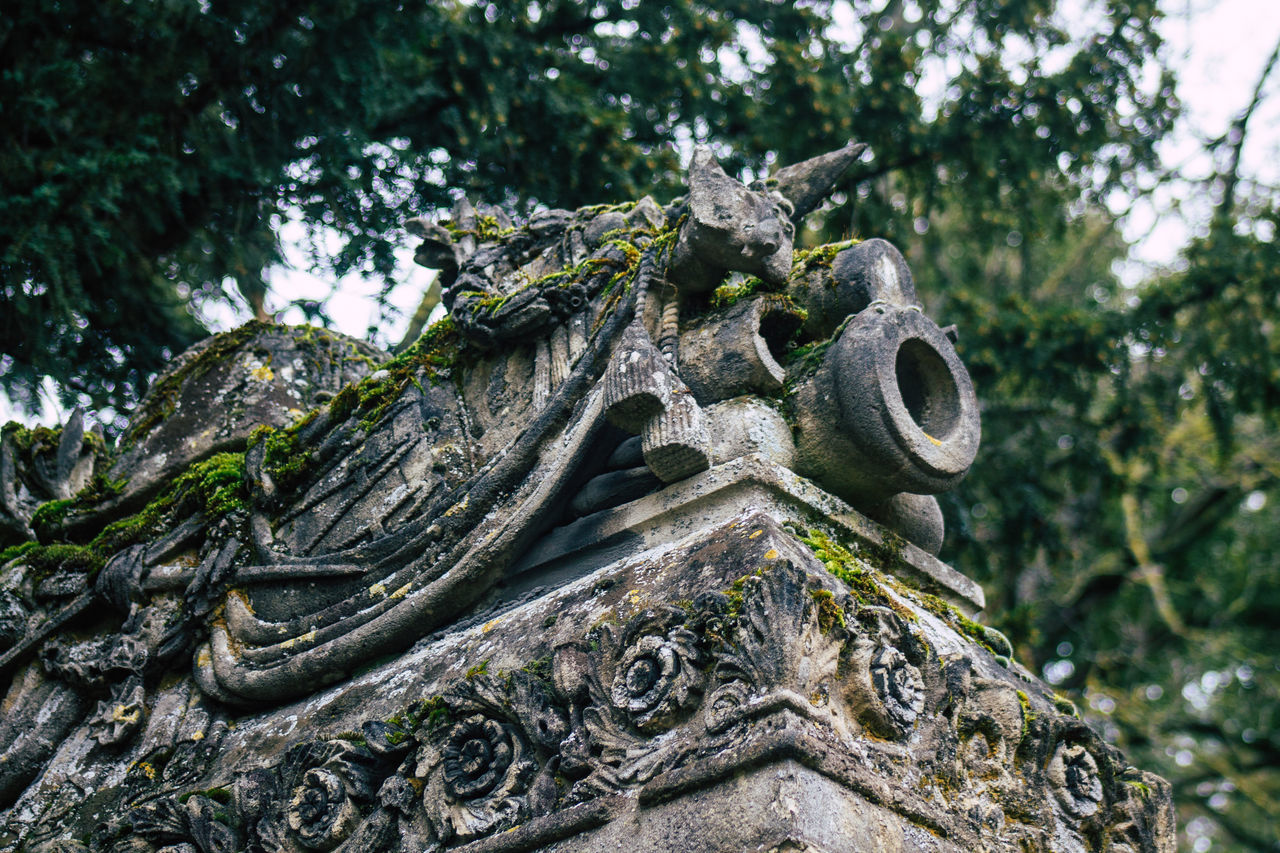 LOW ANGLE VIEW OF STATUE OF BUDDHA