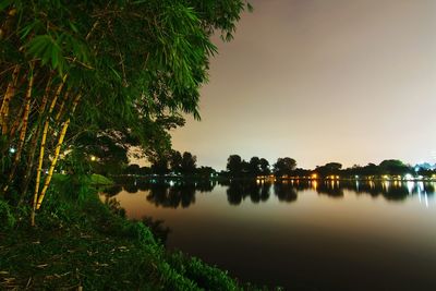 Reflection of trees in water at night