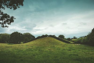 Scenic view of grassy field against cloudy sky