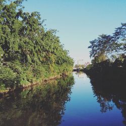 Reflection of trees in lake against clear blue sky